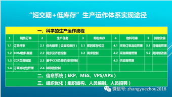 柔性制造体系 下 信息系统和组织基础保障